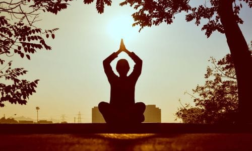 Comstock House Yoga on the lawn
