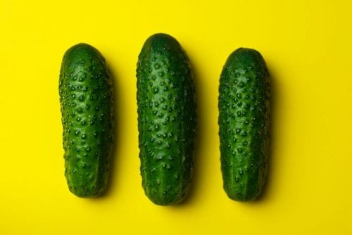 Cucumber Fest!
