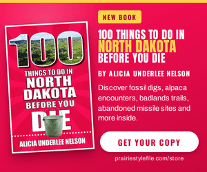 Alicia Underlee Nelson book