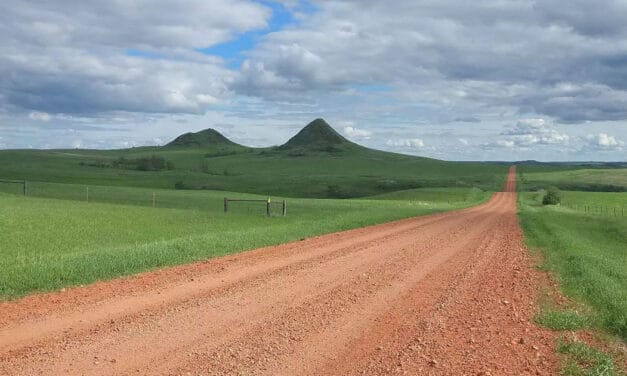Homesteading insights from the road