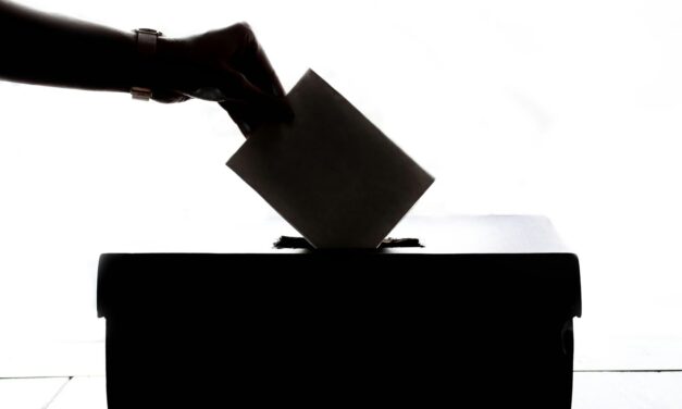 Minnesota Voter Guide: Clay County Board edition