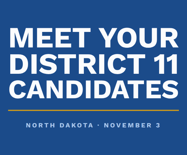 District 11 — Mathern, Andrianova, Cody-Braun